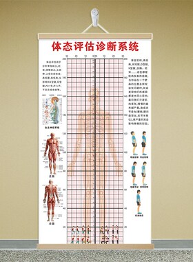 青少年体态评估表舞蹈图挂式体姿矫正健身房指南测评馆