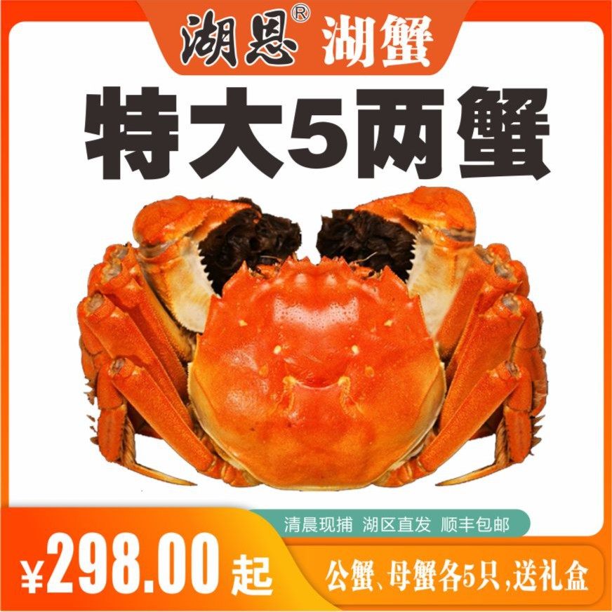 湖恩牌高邮湖大闸蟹6两公5两母特大蟹10只礼盒新鲜活螃蟹中秋送礼,淘宝优惠券,粉丝福利购,淘宝优惠卷