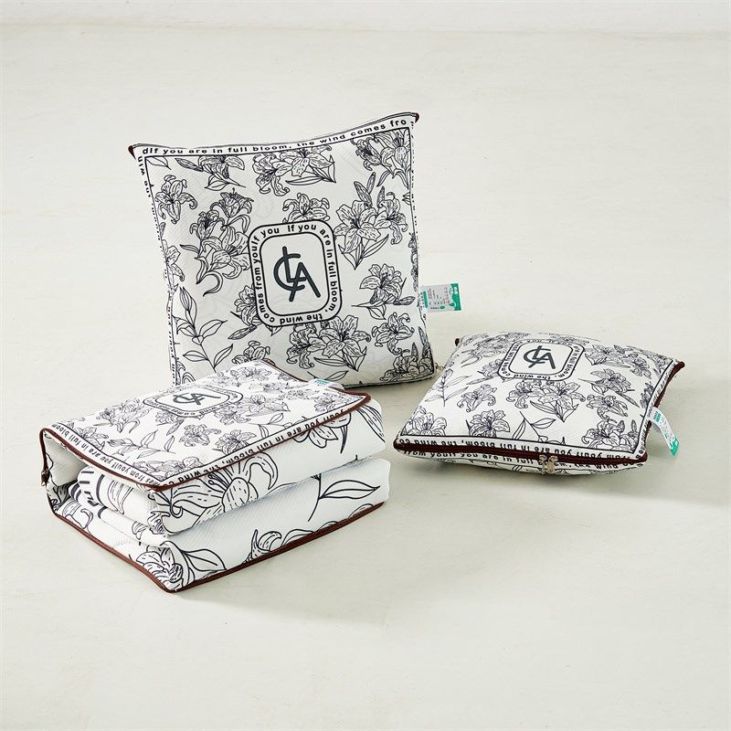 两用抱枕被靠垫枕头被午休空调被夏被凉感冰丝类简约汽车沙发枕,淘宝优惠券,粉丝福利购,淘宝优惠卷