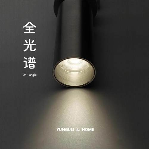 迷你明装小射灯可调角度led吸顶式照画筒灯天花灯客厅玄关洗墙灯 - 图2