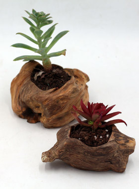 厂家销售松树瘤木雕摆件家居 多肉小花盆O装饰品客厅工艺品包邮