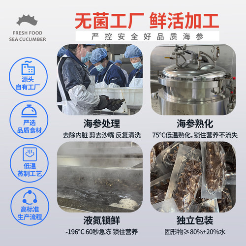 大连鲜食活海参辽参鲜活即食底播滋补刺参500g年货冷链直达天吉岛 - 图2