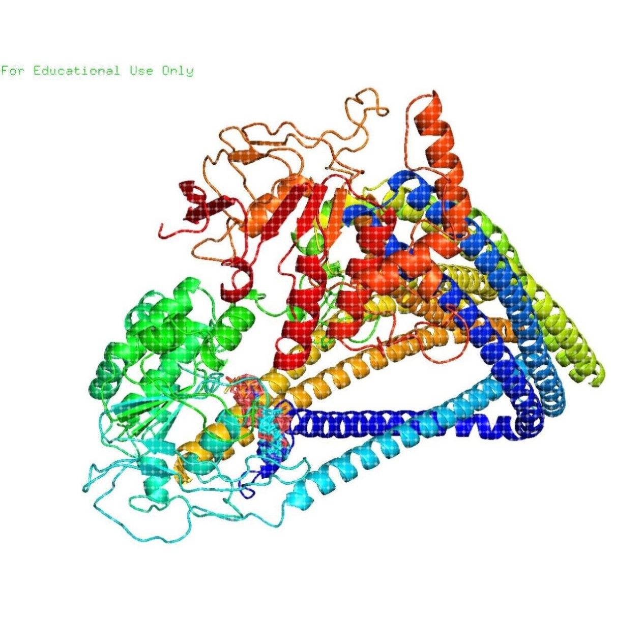 蛋白分子对接Discovery Studio分析3D结构2D结构图PyMOL,淘宝优惠券,粉丝福利购,淘宝优惠卷