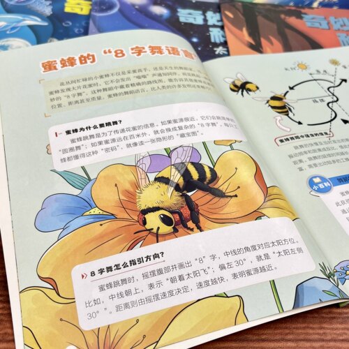 【新版大开本】奇妙的科学幼儿大百科启蒙绘本科普类书籍3-6岁幼儿园小中大班学期班探索未知百科全书 幼儿课外阅读海底世界故事书 - 图2