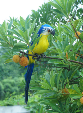 仿真羽毛小鸟手工鹦鹉假鸟田园家居摆件庭院花园装饰道具创意造景