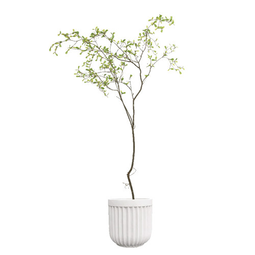 仿真绿植奶油风格假植物千层浪室内客厅角落装饰假花大型落地盆栽 - 图3