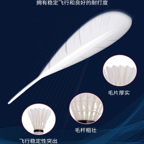 李宁羽毛球G100S/G200/G300S/G500/G900/C50/C80/D6/D8专业耐打 - 图2