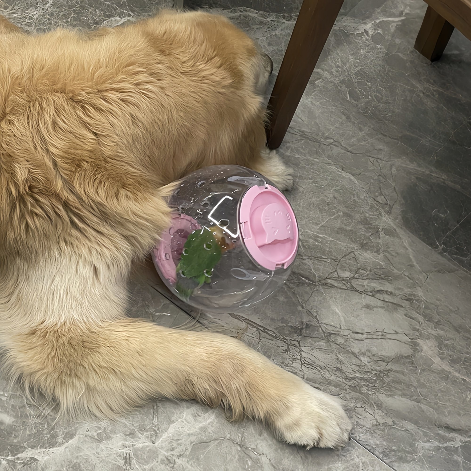 鹦鹉玩具解闷自嗨小太阳牡丹鹦鹉耐啃咬跑步运动滚球小鸟玩具新款,淘宝优惠券,粉丝福利购,淘宝优惠卷