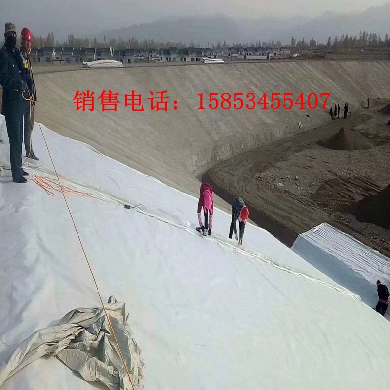土工膜两布一膜鱼塘河道水库蓄水池护坡防渗防水土工布复合土工膜,淘宝优惠券,粉丝福利购,淘宝优惠卷