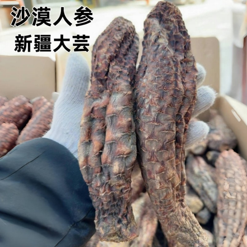 肉苁蓉沙漠人参正宗新疆和田大芸滋补养生整根硬质肉苁蓉泡酒泡茶,淘宝优惠券,粉丝福利购,淘宝优惠卷