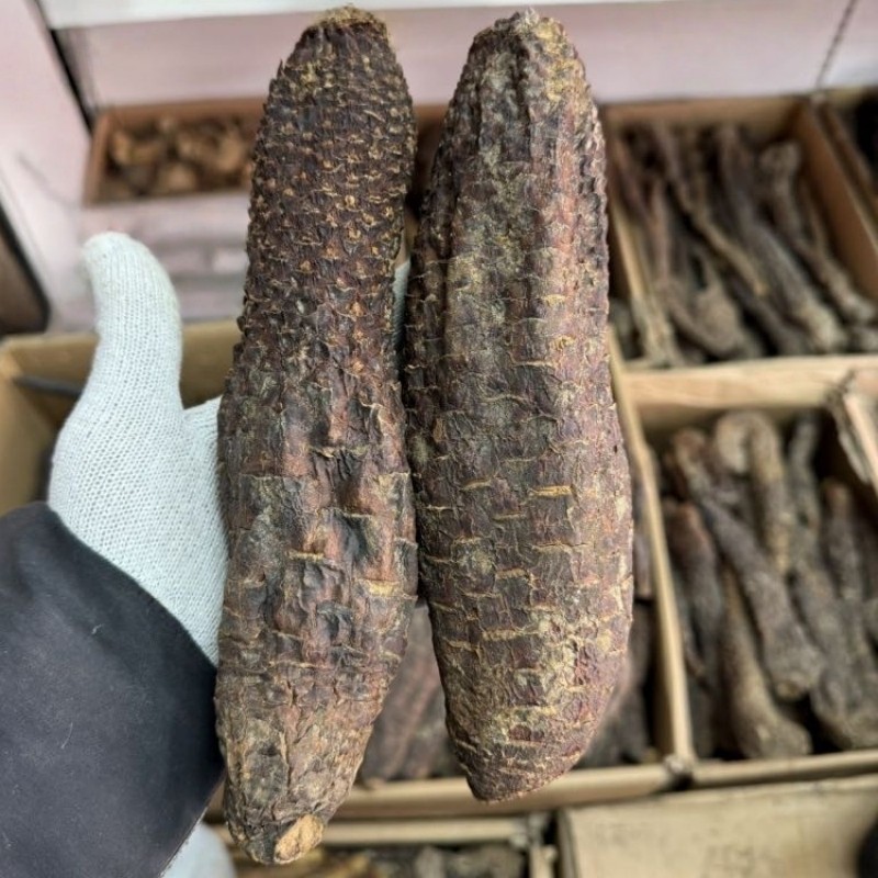 肉苁蓉沙漠人参正宗新疆和田大芸滋补养生整根硬质肉苁蓉泡酒泡茶,淘宝优惠券,粉丝福利购,淘宝优惠卷