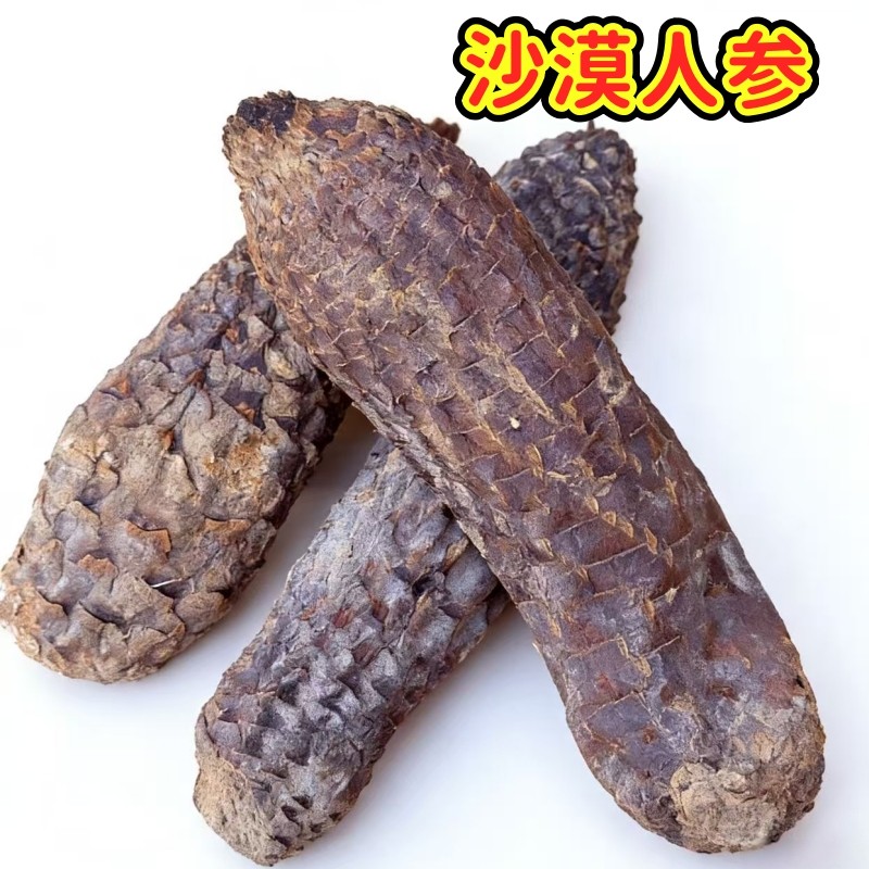 肉苁蓉沙漠人参正宗新疆和田大芸滋补养生整根硬质肉苁蓉泡酒泡茶,淘宝优惠券,粉丝福利购,淘宝优惠卷