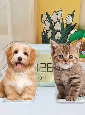 宠物小狗猫咪摇头桌面装饰摆件DIY车载情绪稳定治愈系创意送礼物