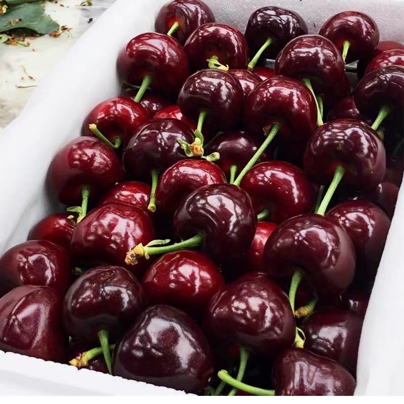 智利车厘子新鲜水果包邮5斤礼盒装当季整箱孕妇进口大樱桃3j4j - 图0