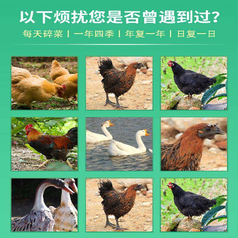 新款切菜机喂 鸡鸭鹅家用全自动桶式养殖多功能瓜果蔬菜切菜打菜,淘宝优惠券,粉丝福利购,淘宝优惠卷