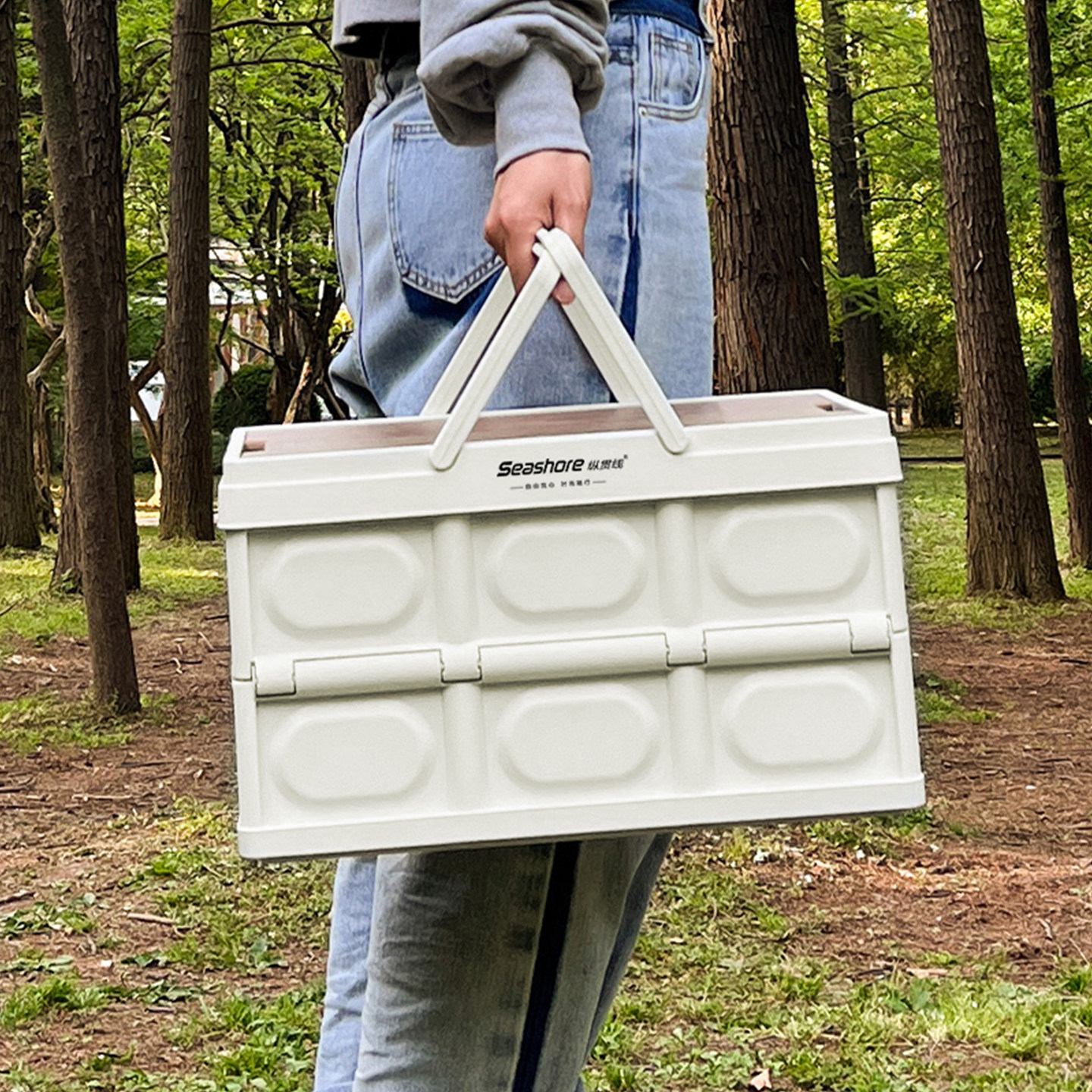 纵贯线户外露营手提便携可折叠收纳箱野炊置物箱带盖储物箱SN-01,淘宝优惠券,粉丝福利购,淘宝优惠卷