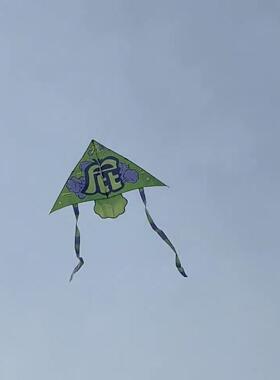 放风筝微风容易放飞2024新潍坊风筝为成人和儿童特别手持户外创意