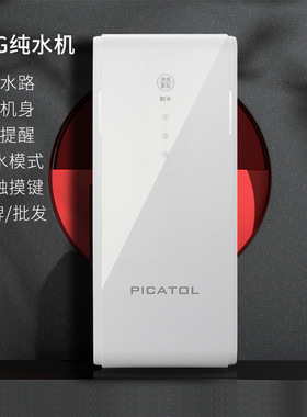 双出水大流量无桶纯水机600G集成水路净水机直饮反渗透RO净水器