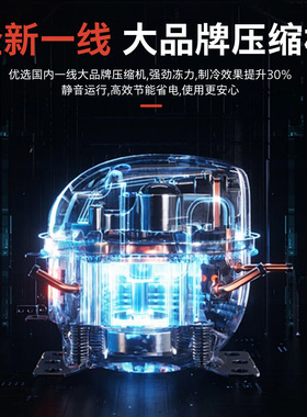 嵩傲网红啤酒冷藏展示柜商用