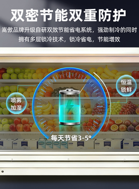 【官方优选】嵩傲水果保鲜风幕柜