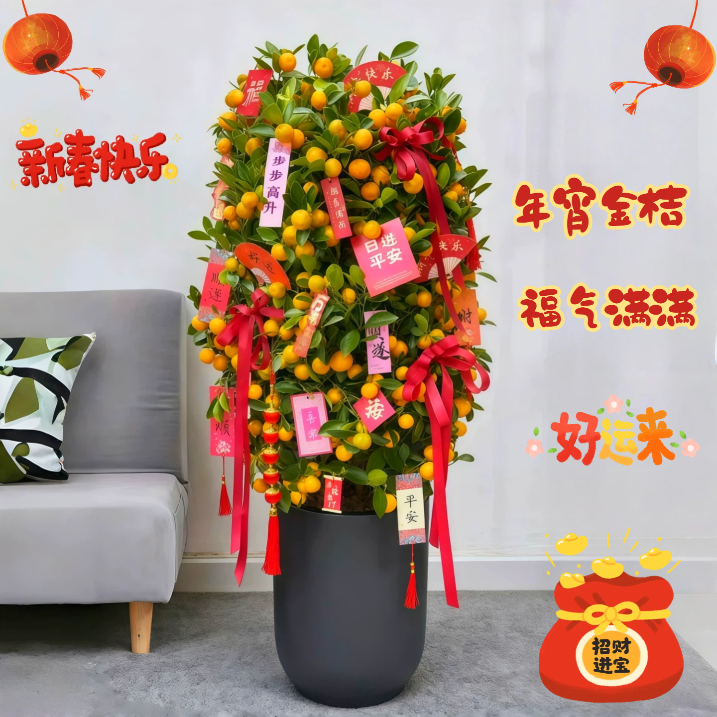 发财树金橘树天堂鸟客厅前台办公室乔迁开业大型绿植盆栽送货上门,淘宝优惠券,粉丝福利购,淘宝优惠卷