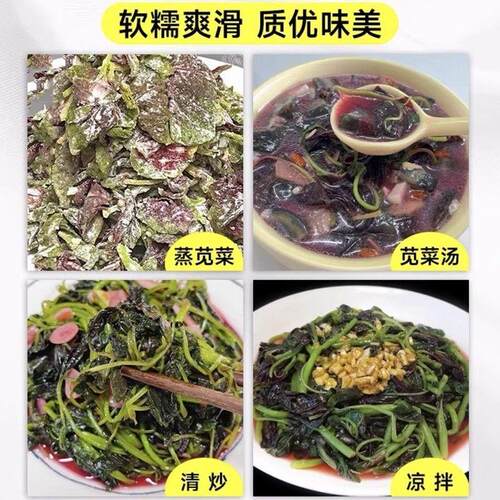冬寒菜四季苋菜籽食用秋冬季懒人紫色家庭阳台种植盆栽各种菜种子 - 图3