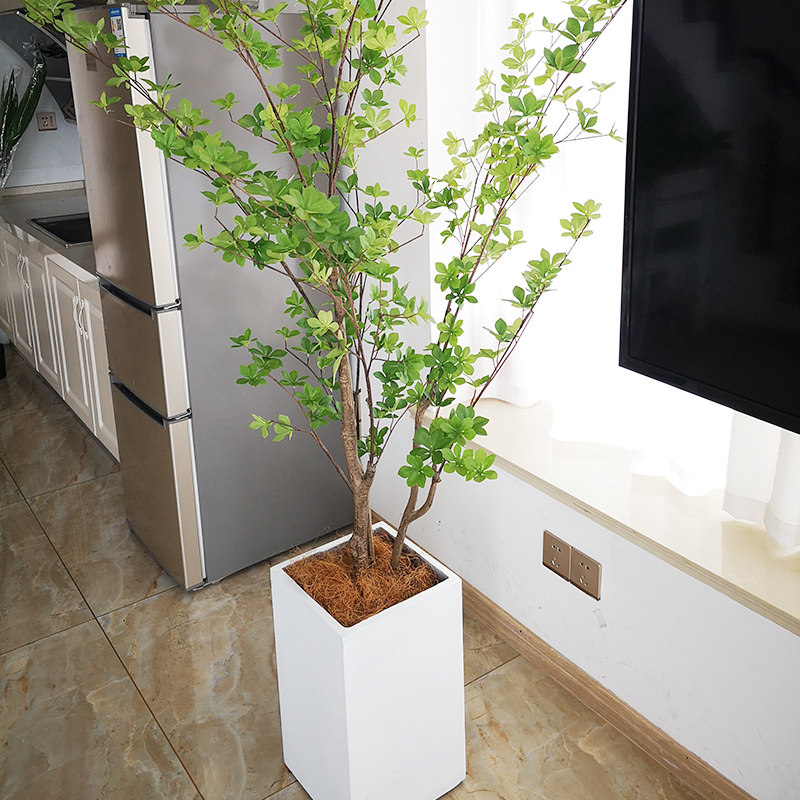 椰棕丝铺面天然椰丝园艺花卉盆栽装饰椰壳丝鸟窝保暖纤维草丝椰毛,淘宝优惠券,粉丝福利购,淘宝优惠卷