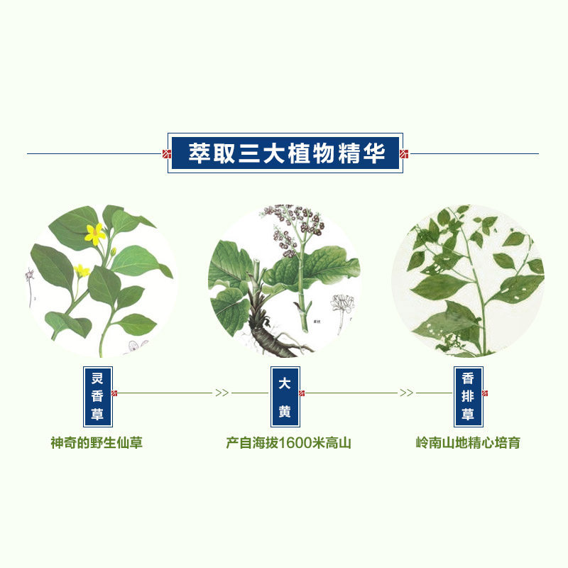 迦印堂 天然艾草香薰盘香卧室持久家用卧香室内净化空气熏香持久,淘宝优惠券,粉丝福利购,淘宝优惠卷