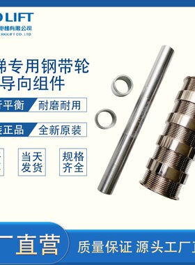 XIOLIFT杭西奥电梯钢带导向轮XOA3115AEY/Z001机房对重轿顶反绳轮