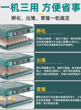 孵化器小型全自动孵化机家用型智能孵蛋器芦丁小鸡鹌鹑鸭鹅孵化箱
