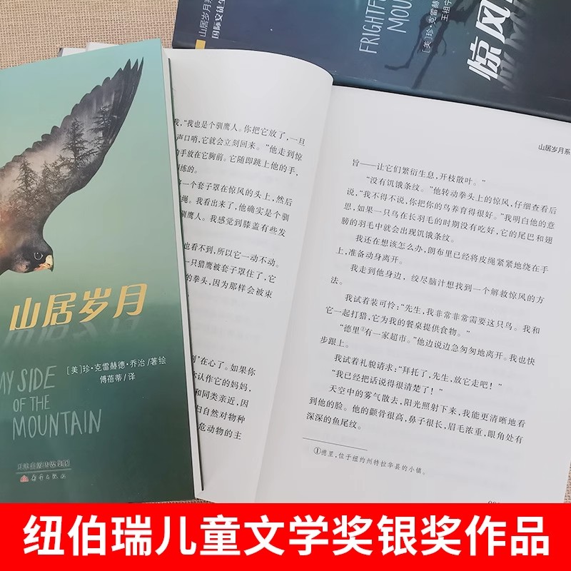 荒野生存系列小说三部曲 惊风的山 山居岁月 远山深处 新蕾出版社中小学生课外阅读书籍国际大奖纽伯瑞银奖儿童文学小说 - 图2