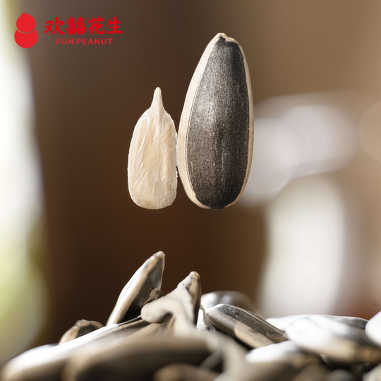 Huanxi Peanut Chifeng 363 Original Melon Seeds
