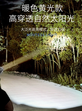 德国进口LED头灯强光远射可充电防水超亮头戴式夜钓灯矿灯超长续