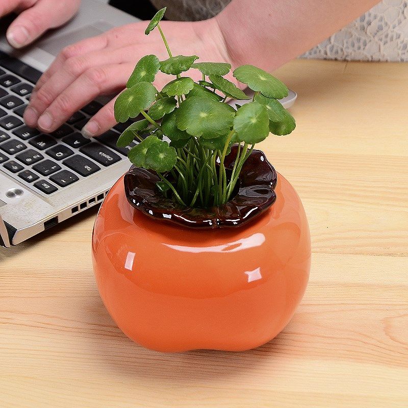 创意柿子花瓶陶瓷水养绿萝水培花盆花器客厅桌面办公桌装饰品摆件,淘宝优惠券,粉丝福利购,淘宝优惠卷