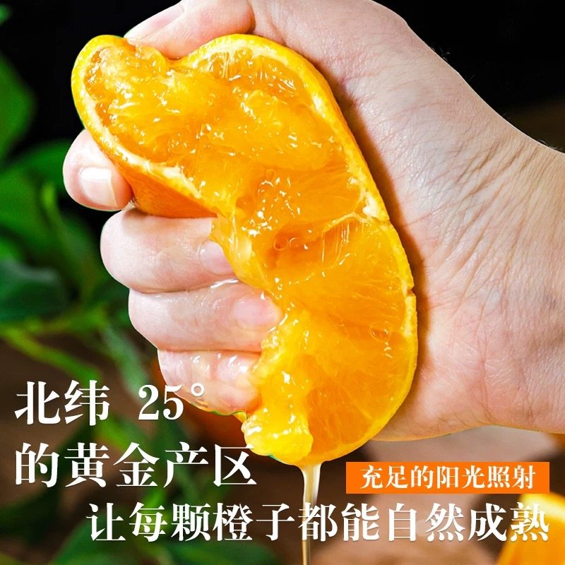 【平晏果园】赣南脐橙正宗江西赣州橙子新鲜水果现摘甜脐橙手剥橙