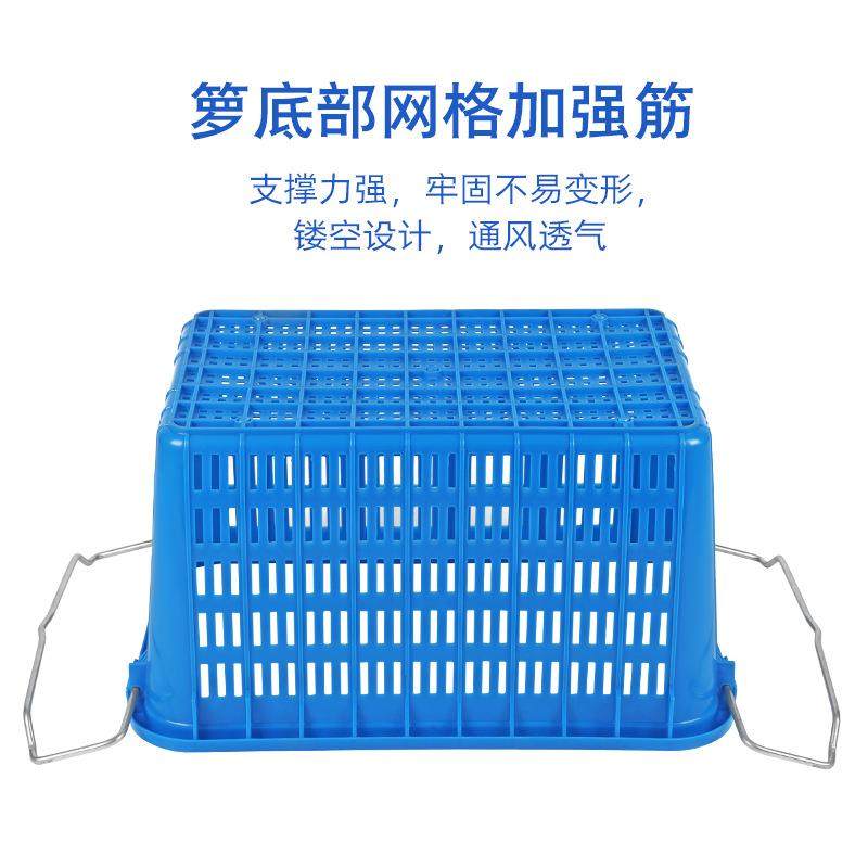 铁耳箩筐加厚菜筐铁耳箩筐蔬菜箩水果篮运输框收纳箩周转箱塑料箩,淘宝优惠券,粉丝福利购,淘宝优惠卷