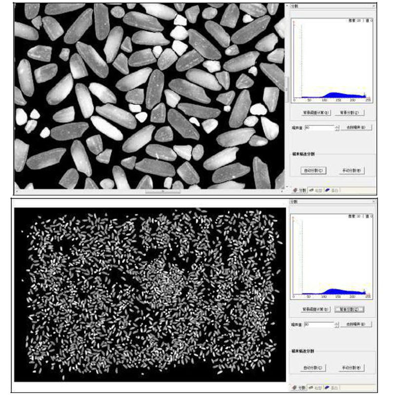 大米外观品质检测仪米粒扫描器大米粒外观测定仪大米质量测量仪,淘宝优惠券,粉丝福利购,淘宝优惠卷