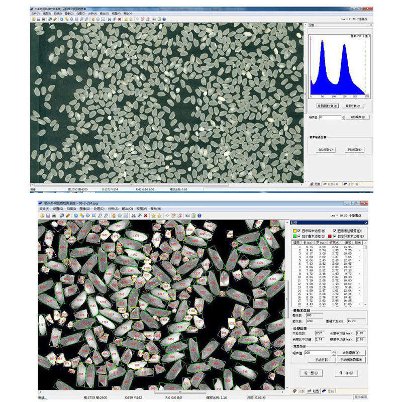 大米外观品质检测仪米粒扫描器大米粒外观测定仪大米质量测量仪,淘宝优惠券,粉丝福利购,淘宝优惠卷