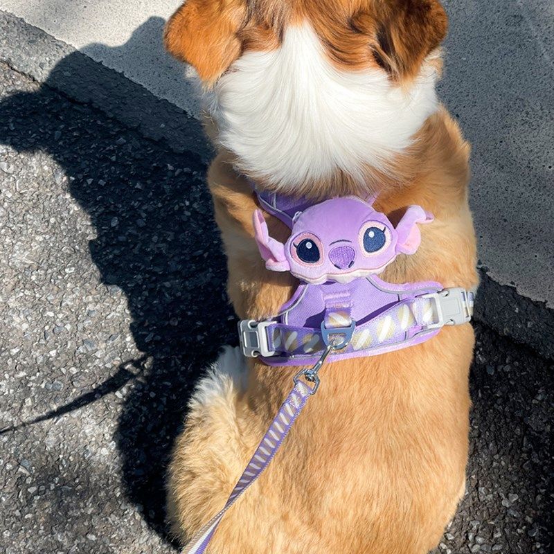 宠物遛狗绳金毛泰迪柯基背心式背带猫牵引绳防挣脱放爆冲胸背用品,淘宝优惠券,粉丝福利购,淘宝优惠卷