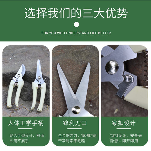 花剪园艺剪刀插花修枝剪省力修剪树枝果树竹签花卉专用花艺剪剪子 - 图1