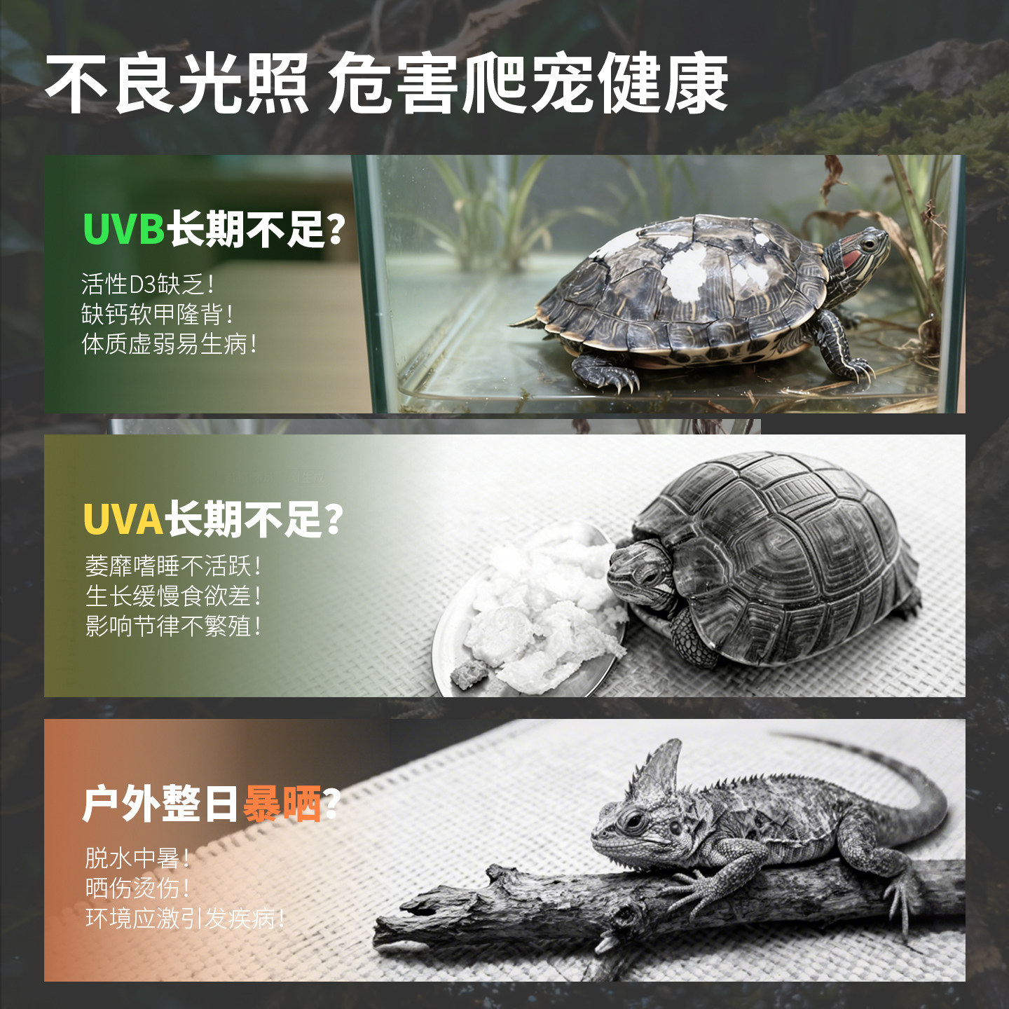 三思全光谱补钙爬宠物灯uvb乌龟晒背灯uva蜥蜴太阳灯龟缸爬虫灯泡,淘宝优惠券,粉丝福利购,淘宝优惠卷