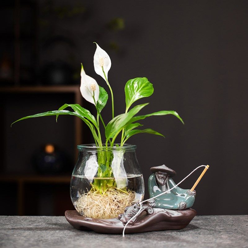 创意水培白掌玻璃瓶透明水养绿萝花瓶客厅植物摆件情侣可爱小花,淘宝优惠券,粉丝福利购,淘宝优惠卷