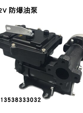 24V220V12V防爆汽油油泵电动直流自吸抽油泵大功率柴油防爆加油机