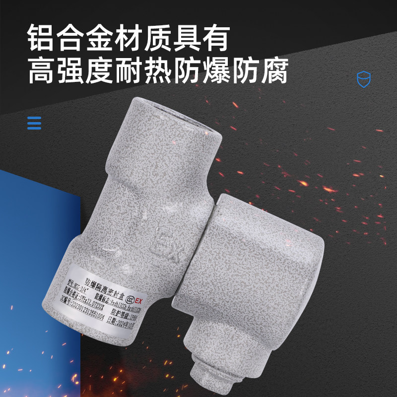 防爆隔离密封盒接头BCG铝合金一寸Y Z P H型3/4封堵4 6分DN20纵向,淘宝优惠券,粉丝福利购,淘宝优惠卷