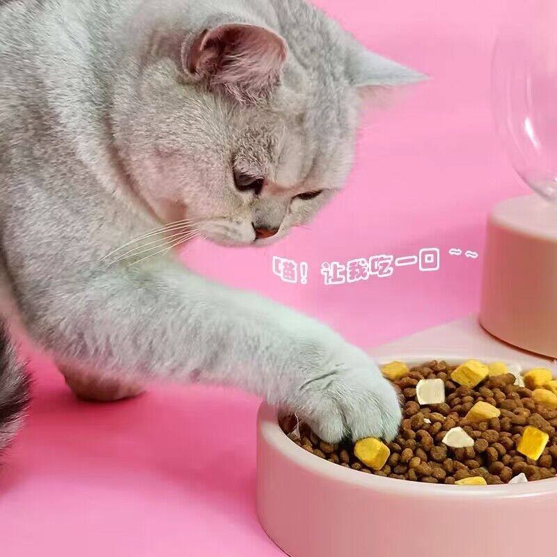 幼猫猫粮1到3月-12月专用营养增肥发腮小奶猫饭奶糕鱼肉冻干粮5斤,淘宝优惠券,粉丝福利购,淘宝优惠卷