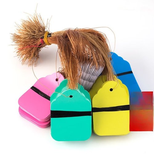 100张PVC彩色塑料植物吊签牌花卉园艺盆栽小挂牌苗木吊牌多肉标签 - 图2