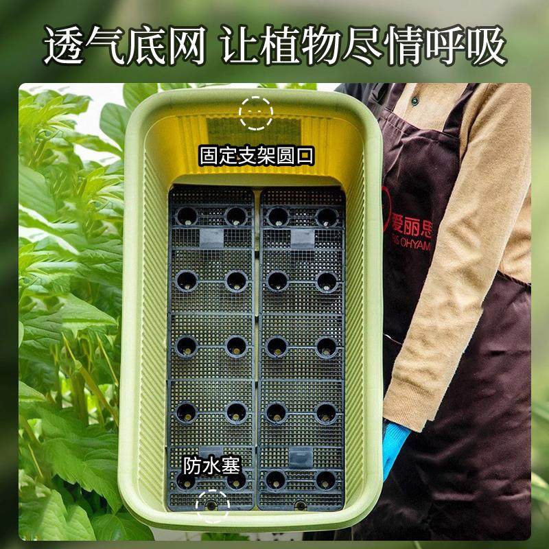 爱丽丝加厚树脂蔬菜种植箱长方形塑料阳台种菜盆爱丽思花盆iris,淘宝优惠券,粉丝福利购,淘宝优惠卷