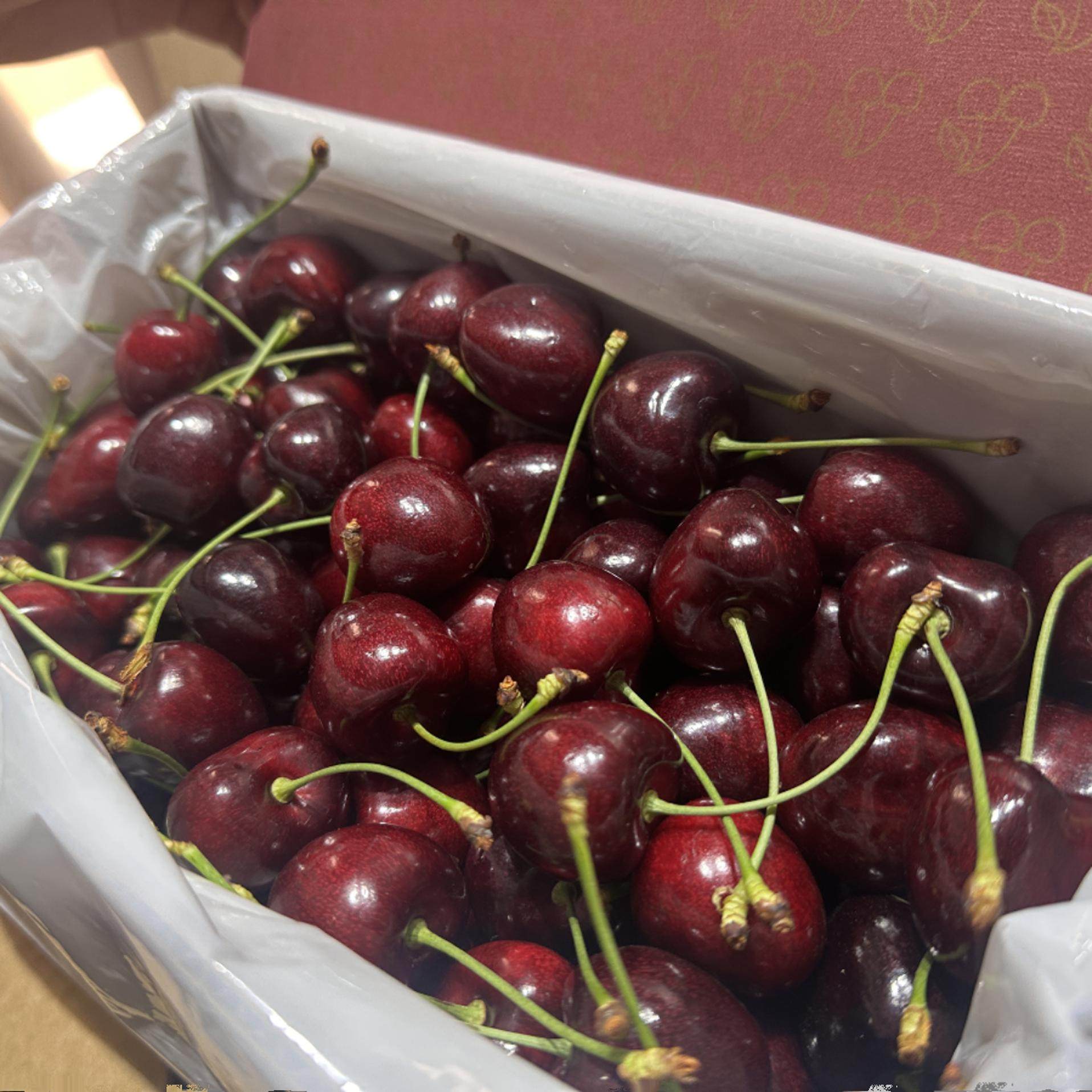 新西兰车厘子空运Kordia科迪亚黑车新鲜脆甜水果原箱礼盒樱桃,淘宝优惠券,粉丝福利购,淘宝优惠卷