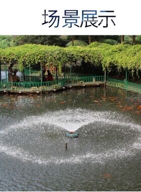 德国进口鱼塘增氧机全自动大功率型220V增氧泵池塘排灌养殖浮水泵