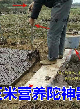 营养坨农用工具种玉米高粱营养钵装土器移栽移植机玉米育苗神器